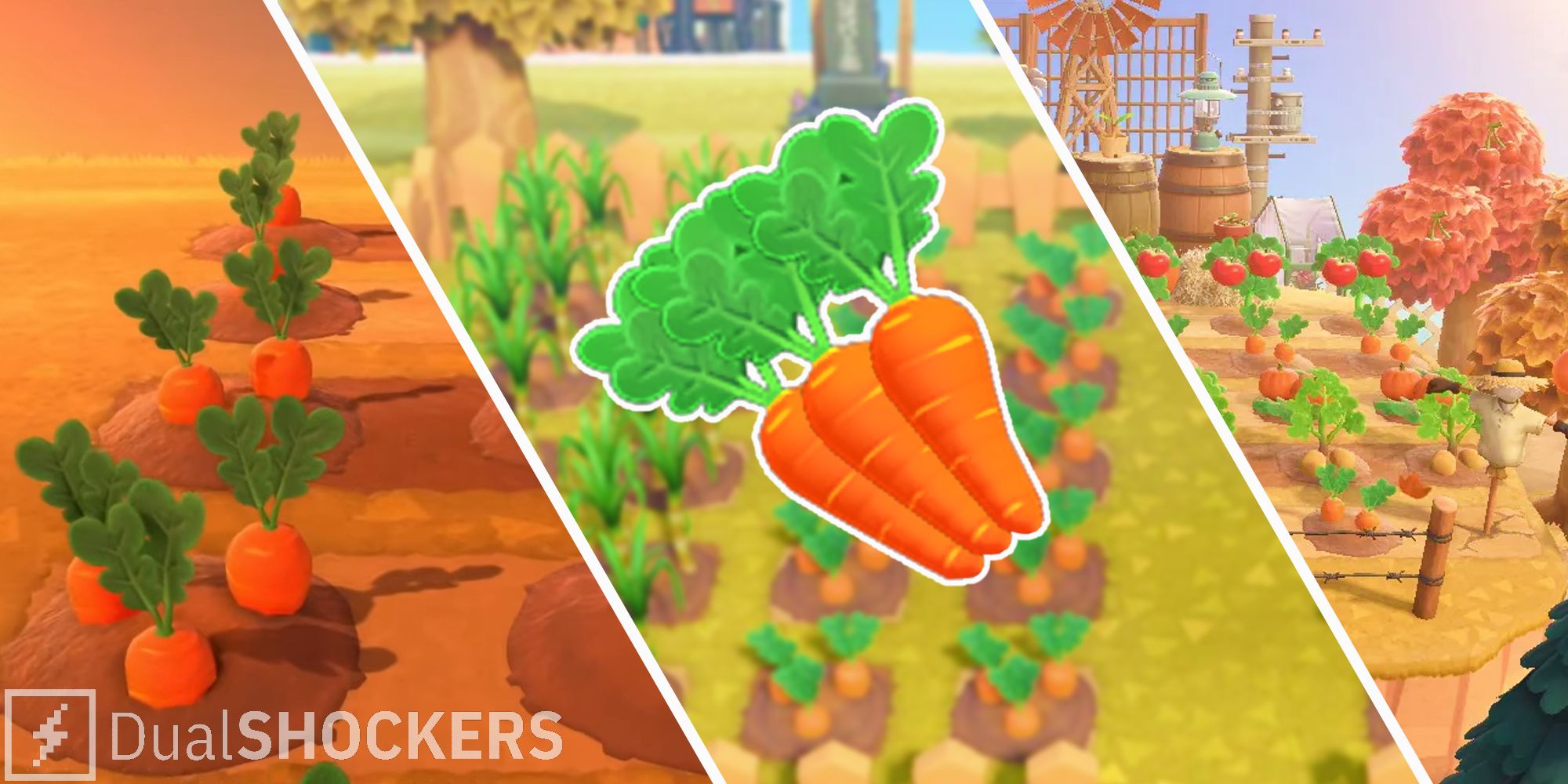 How to get carrots in Animal Crossing New Horizons Featured Image 