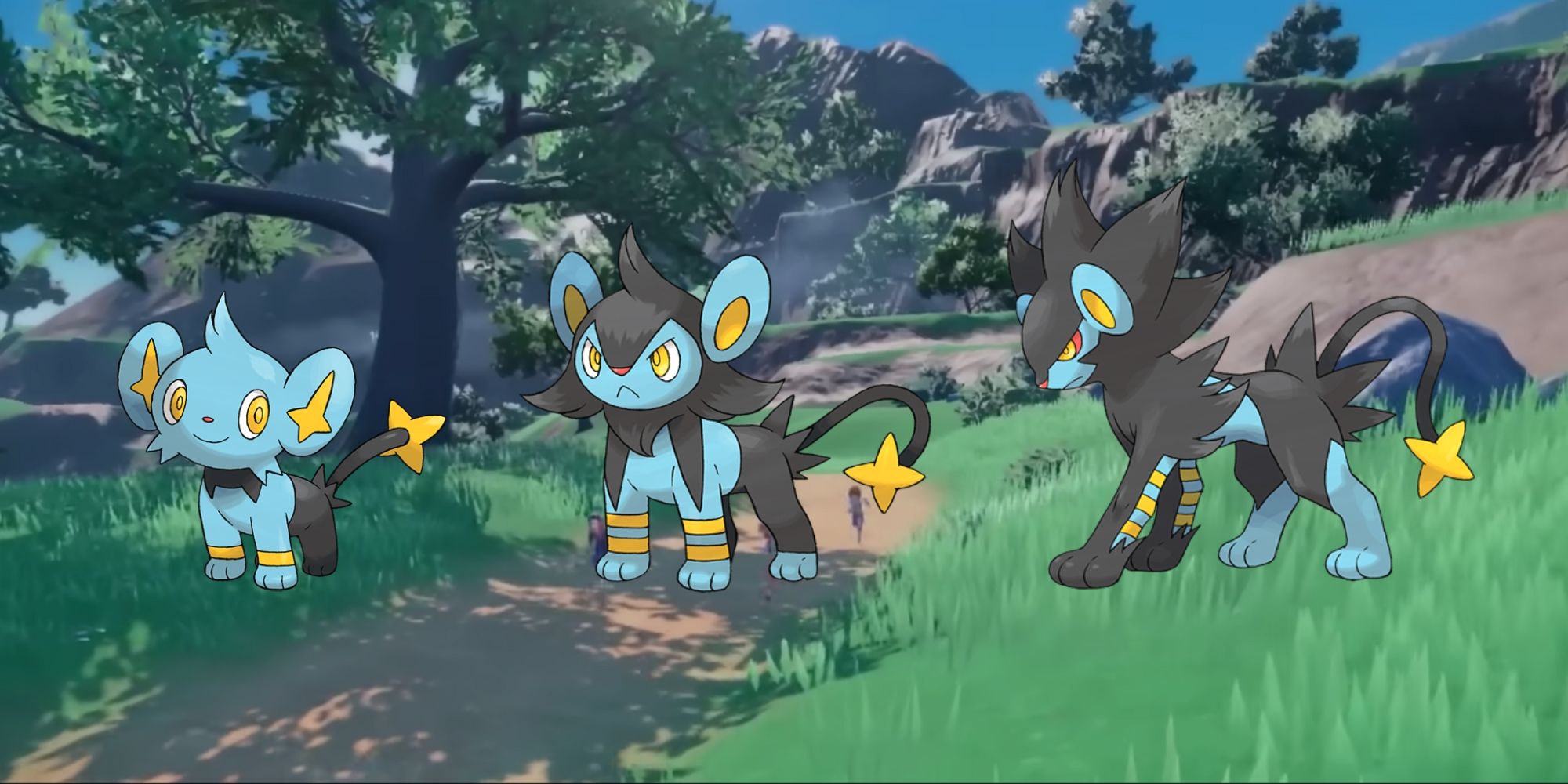 Shinx, Luxio, and Luxray Forms