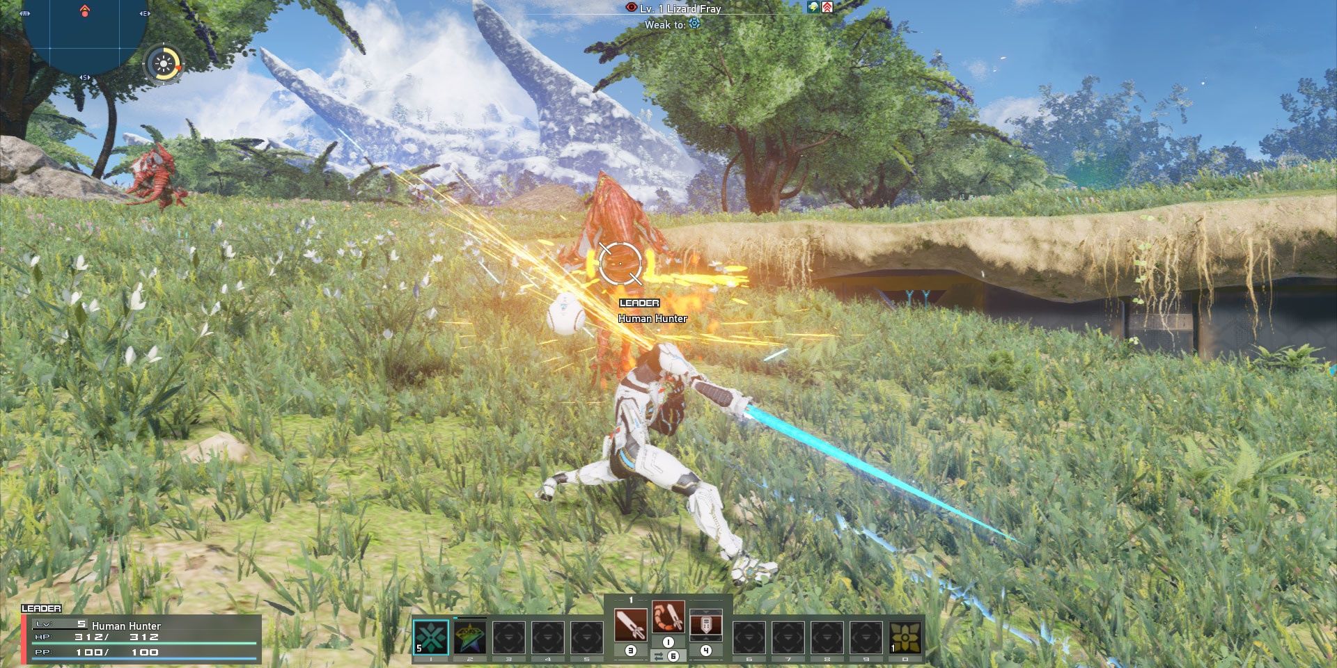 Image of gameplay from the game Phantasy Star Online 2.