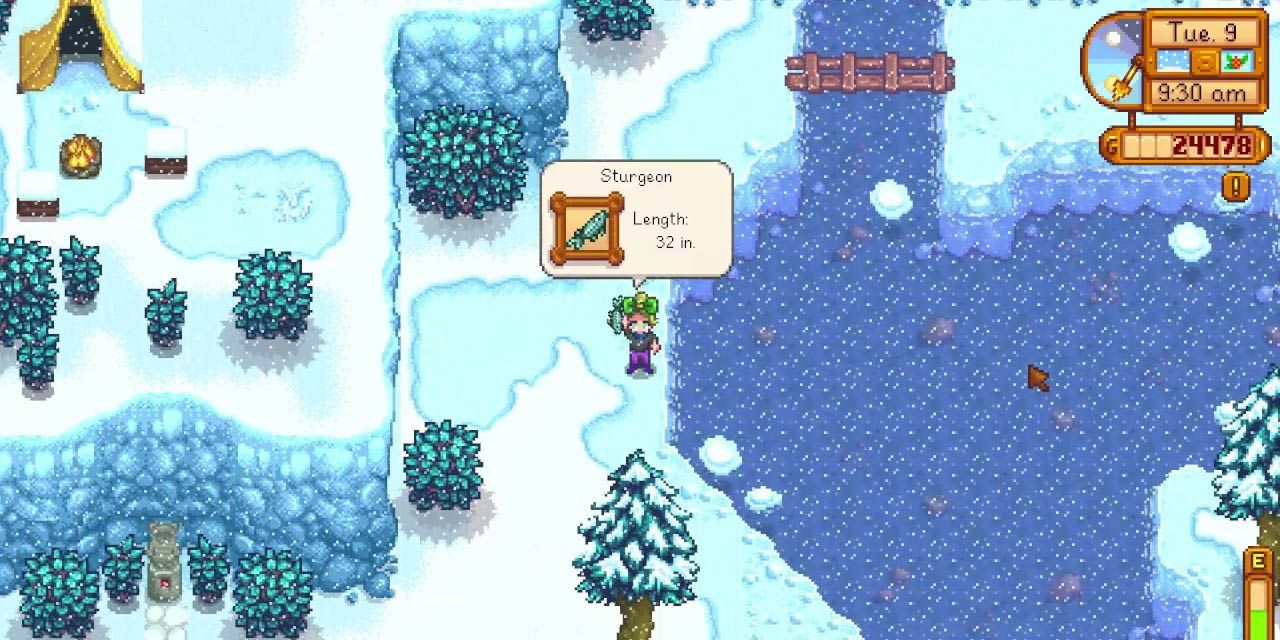 Stardew Valley How To Catch A Sturgeon