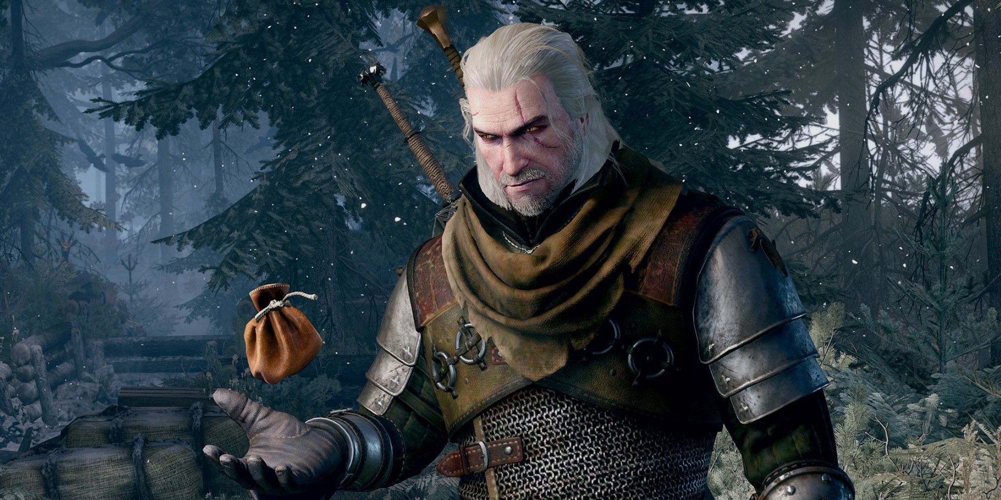 the witcher remake wont release until after the witcher 4