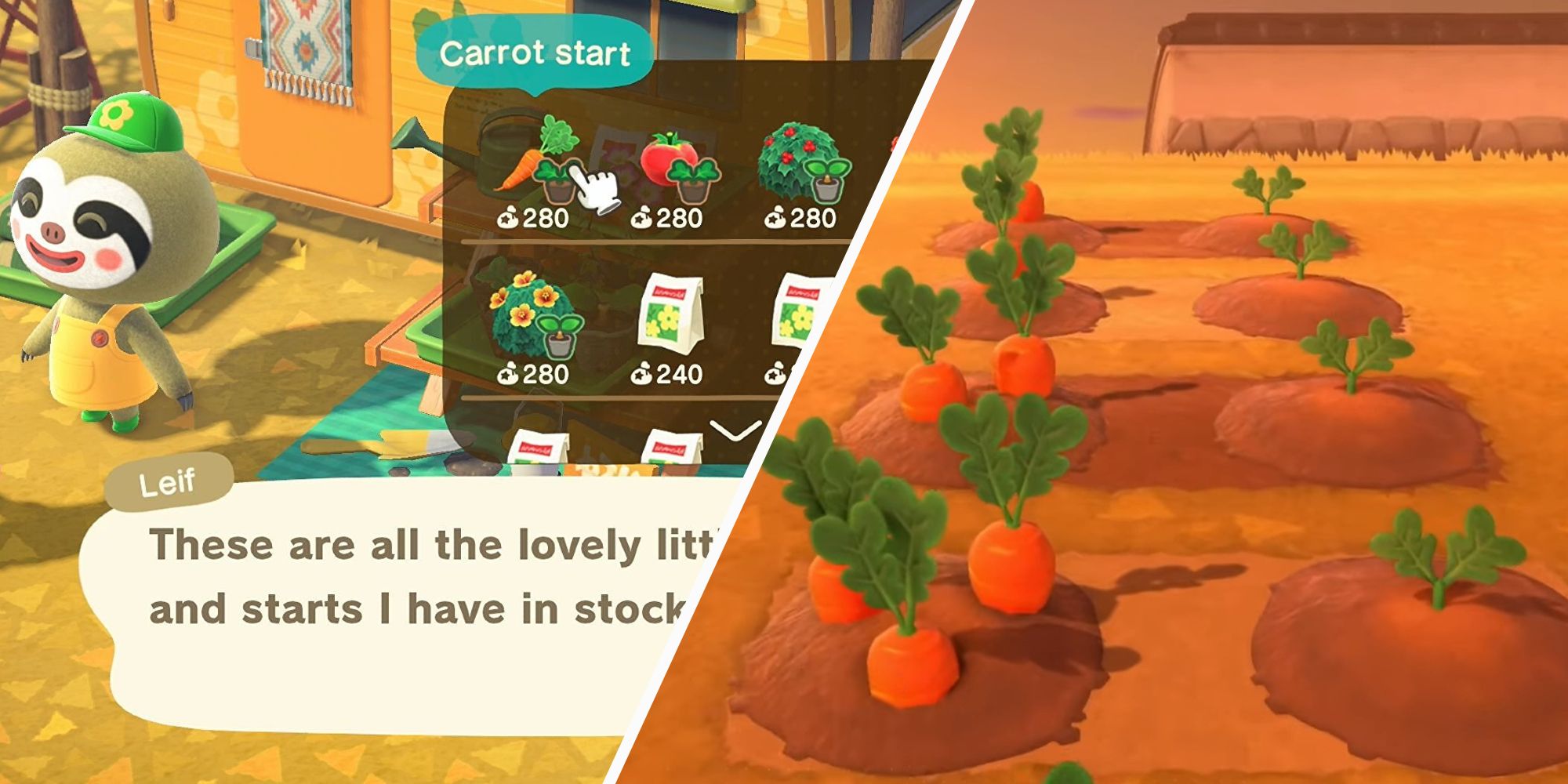 Where to get Carrots in Animal Crossing: New Horizons 