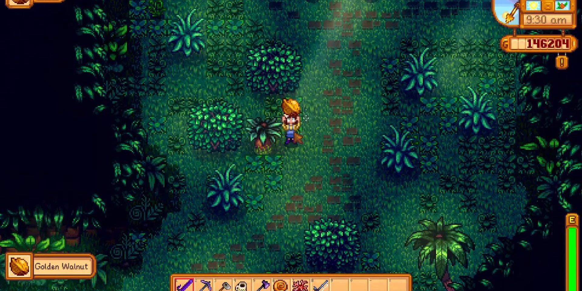 stardew valley increase friendship leo stardew-valley-increase-friendship-leo