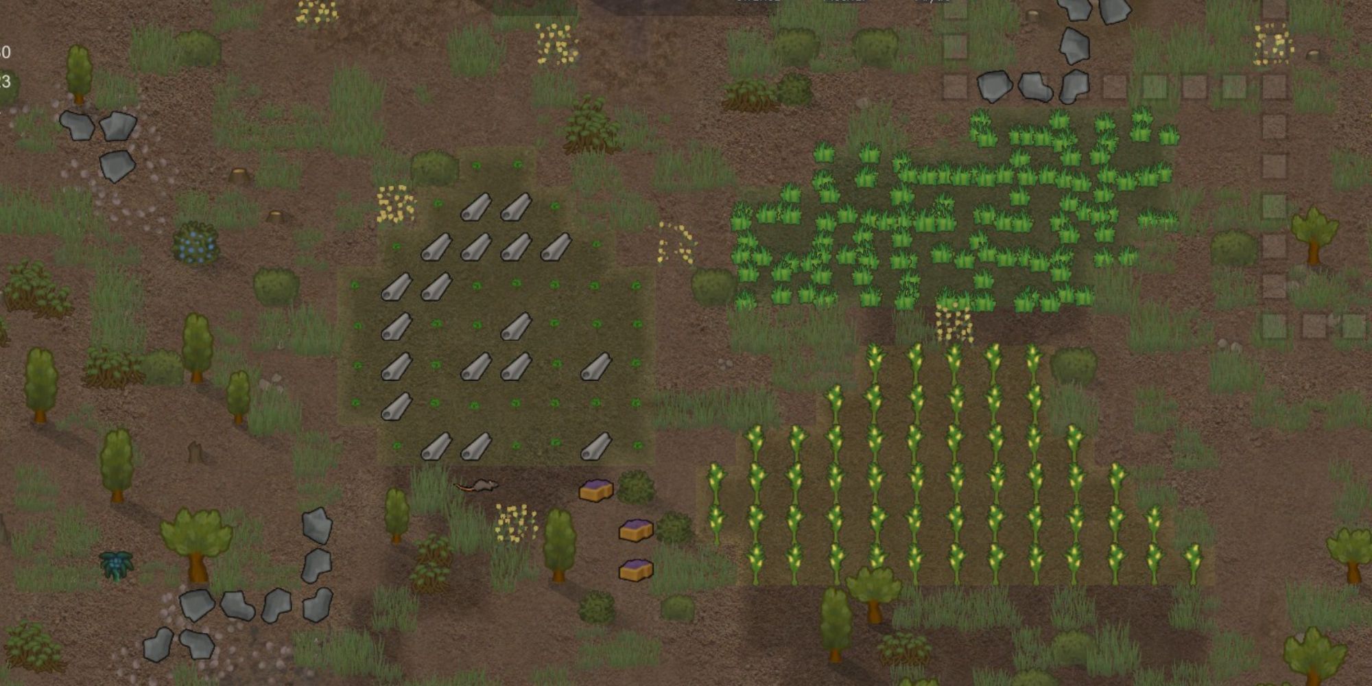 Crop set up in Rimworld