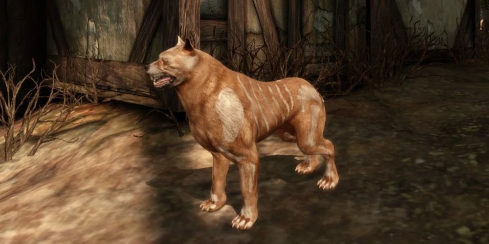 Best Video Game Dogs, Ranked