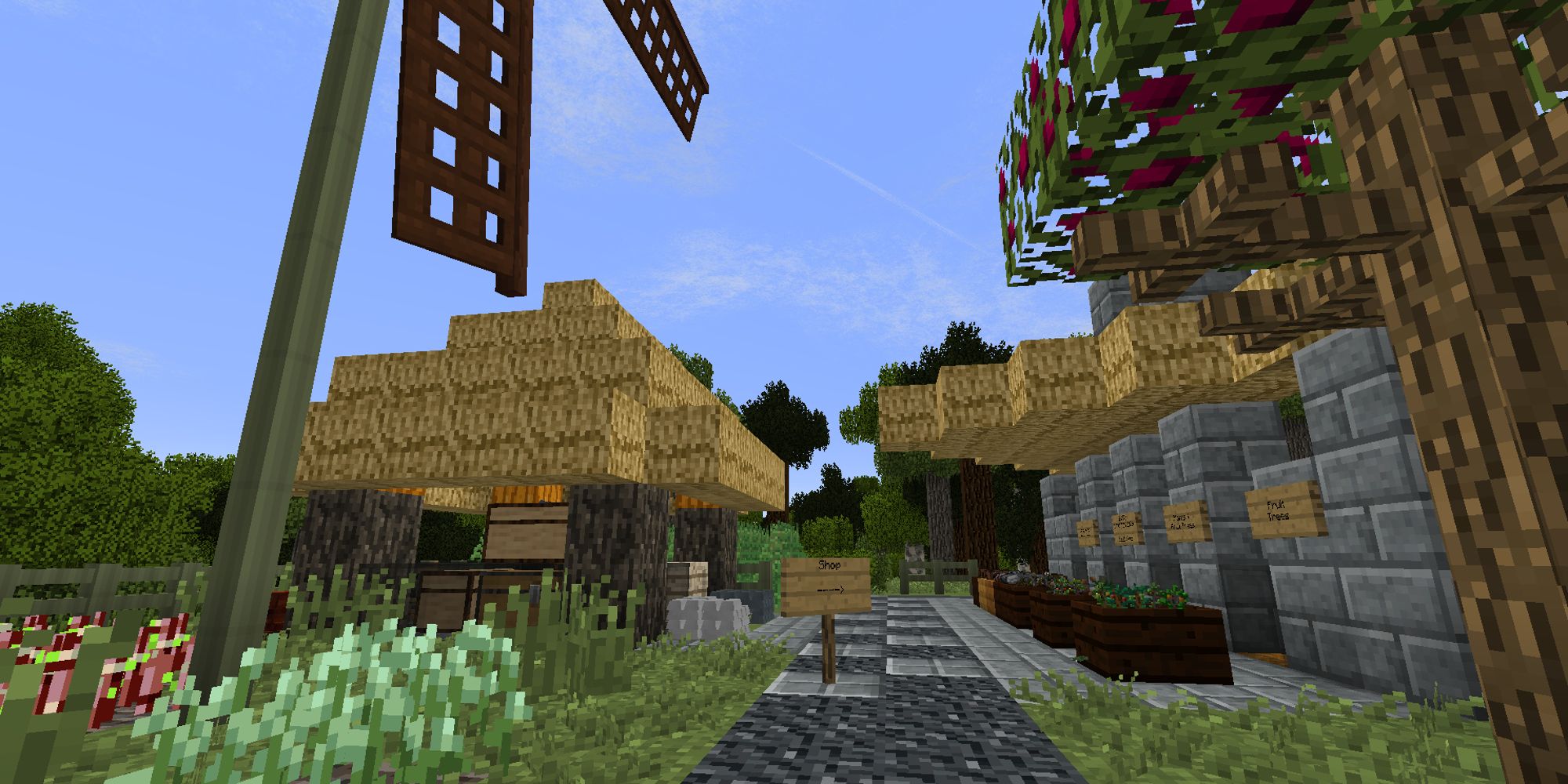 Minecraft Row Of Buildings Windmill Plants Gravel Path