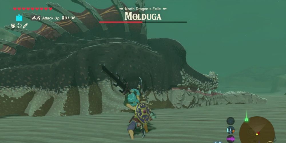 Molduga fighting in the desert tied with two sword