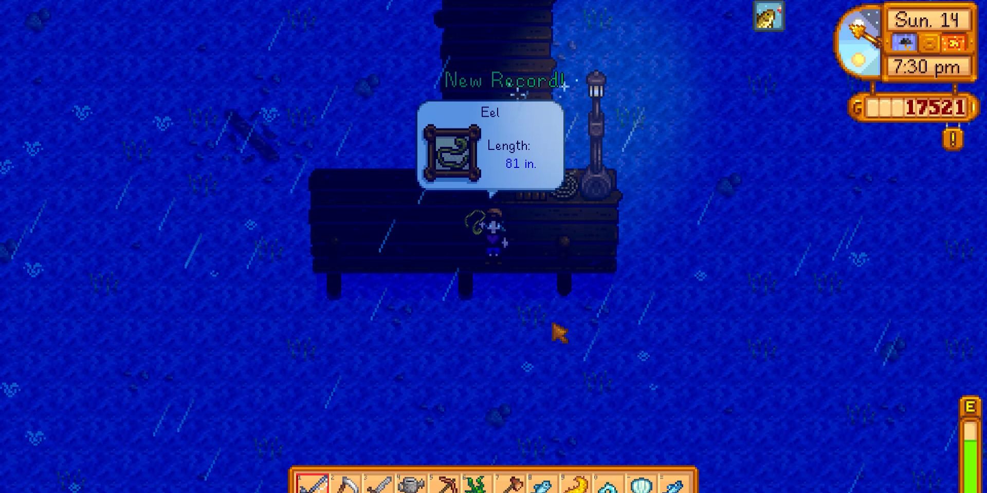 Stardew Valley: How To Catch An Eel