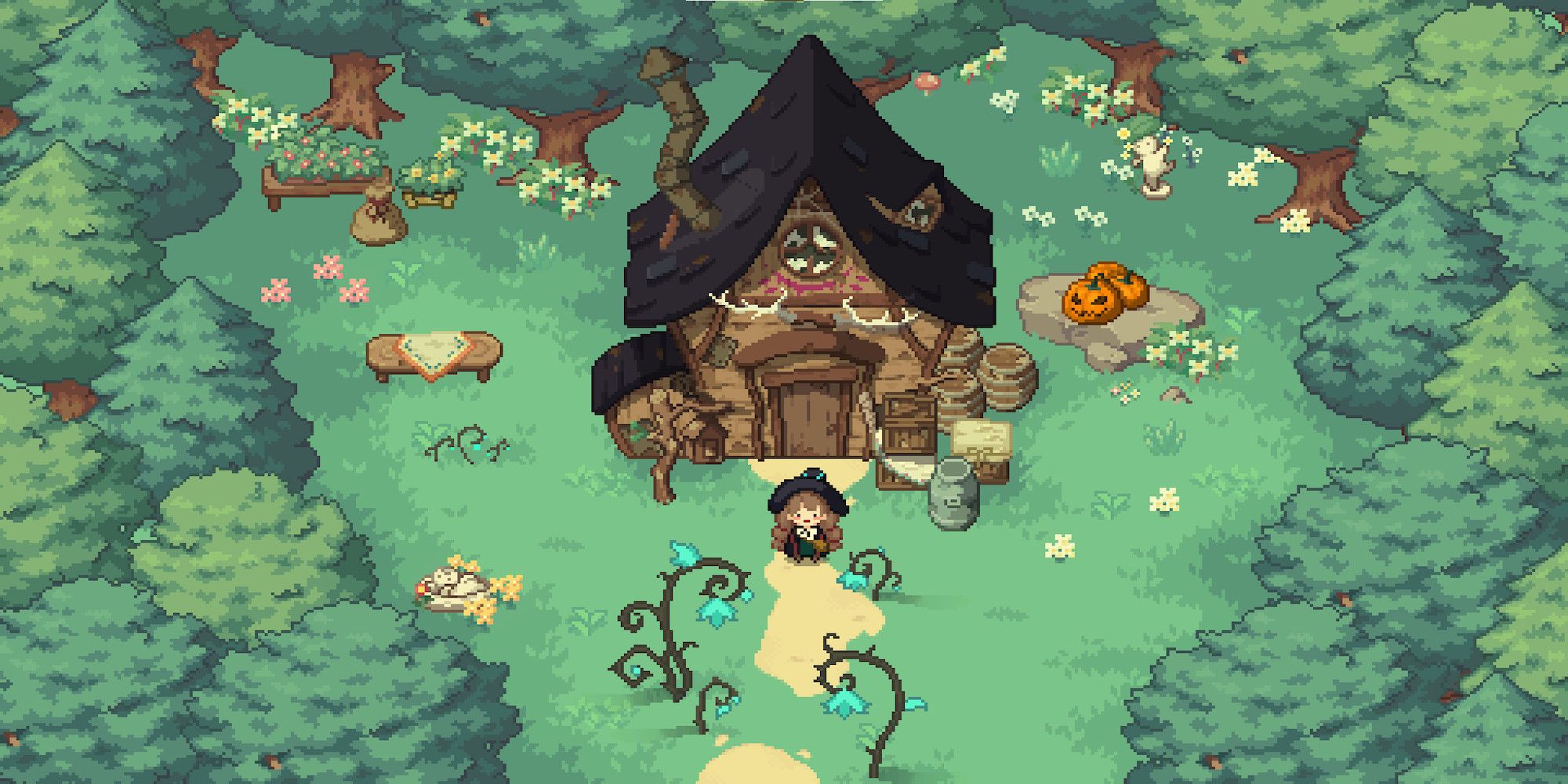 An old house in the middle of the forest (Little Witch in the Woods)