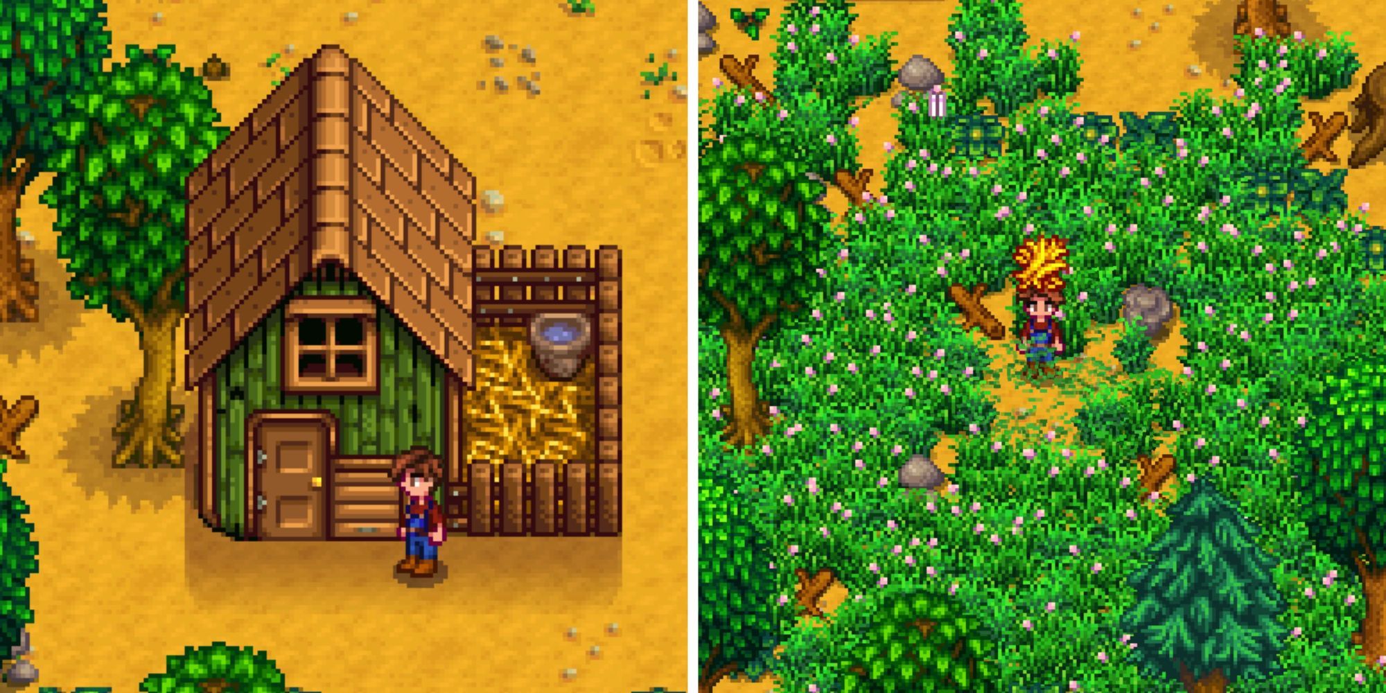 Stardew Valley Coop And Wild Grass 