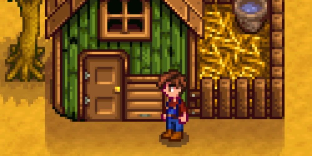 Stardew Valley How To Feed Chickens   Stardew Valley Coop Dooor 