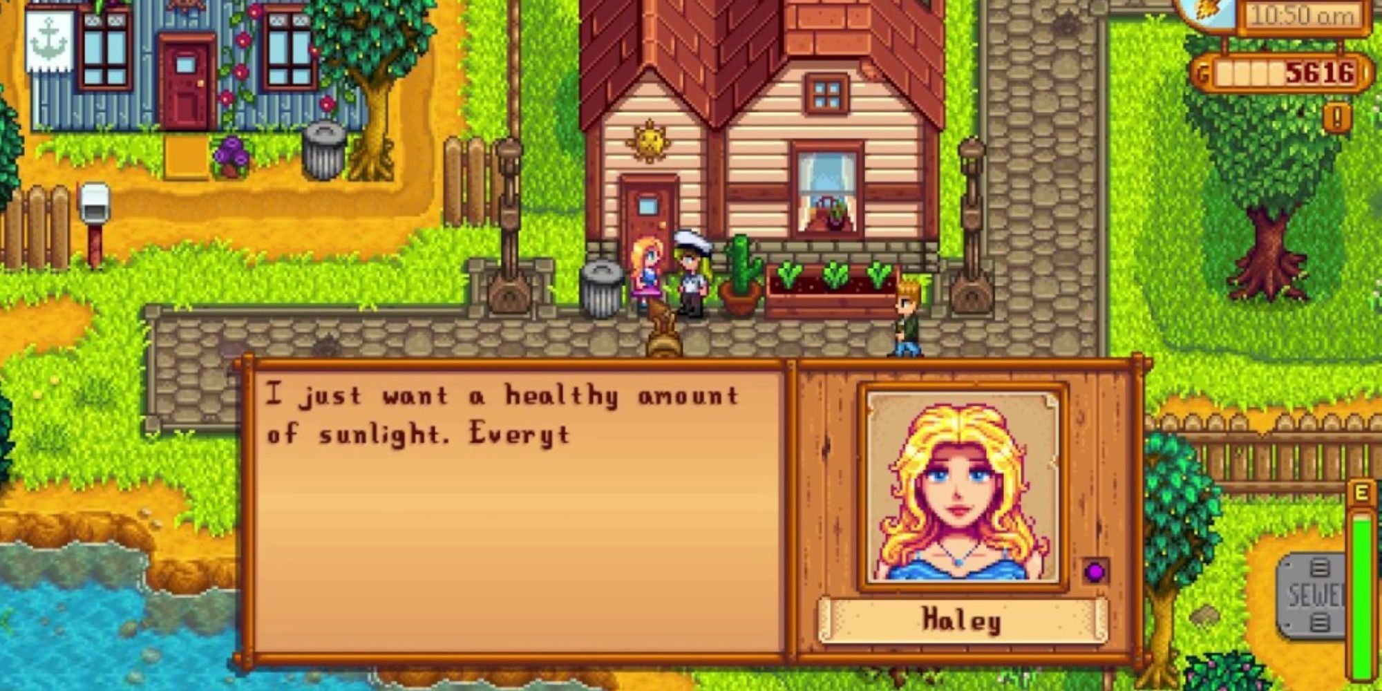 Stardew Valley How To Romance And Marry Haley