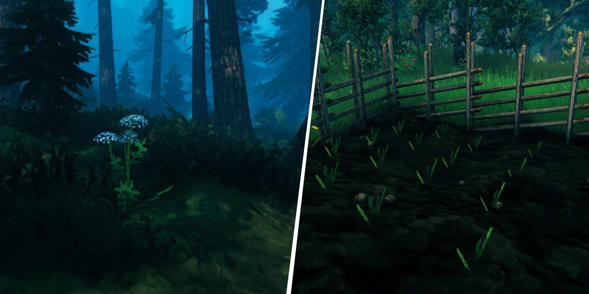 Valheim how to find plant carrots