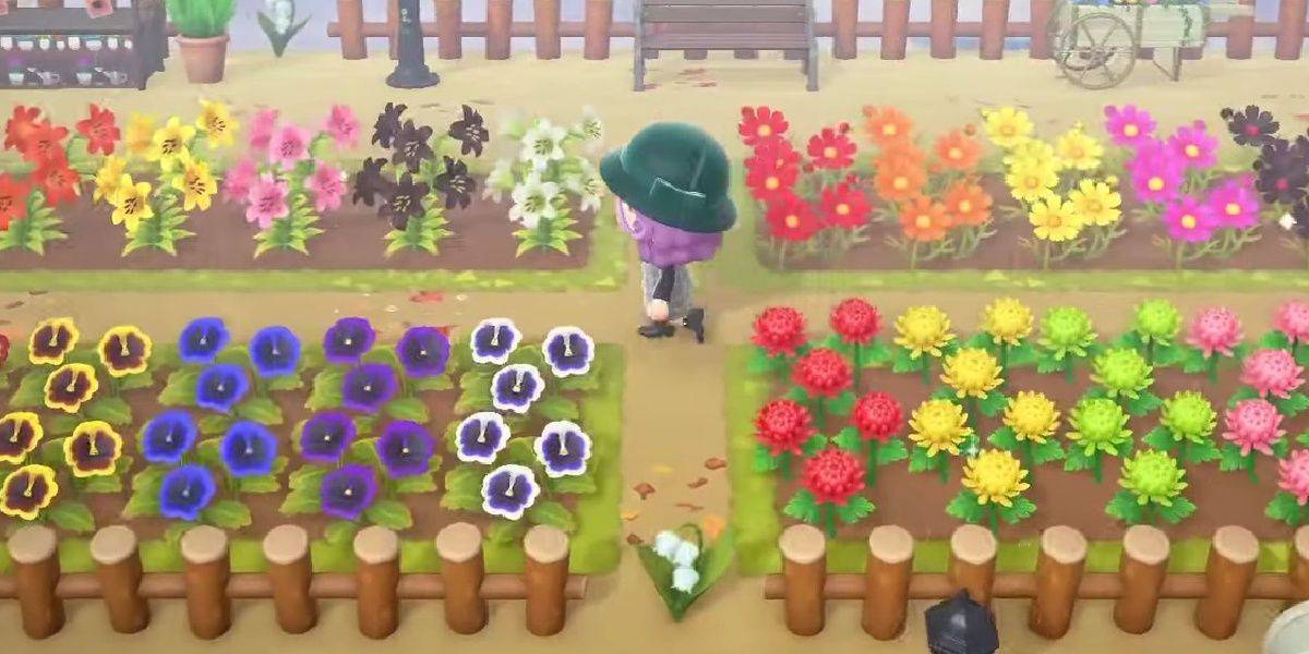 Animal Crossing New Horizons Hybrid Flowers Guide