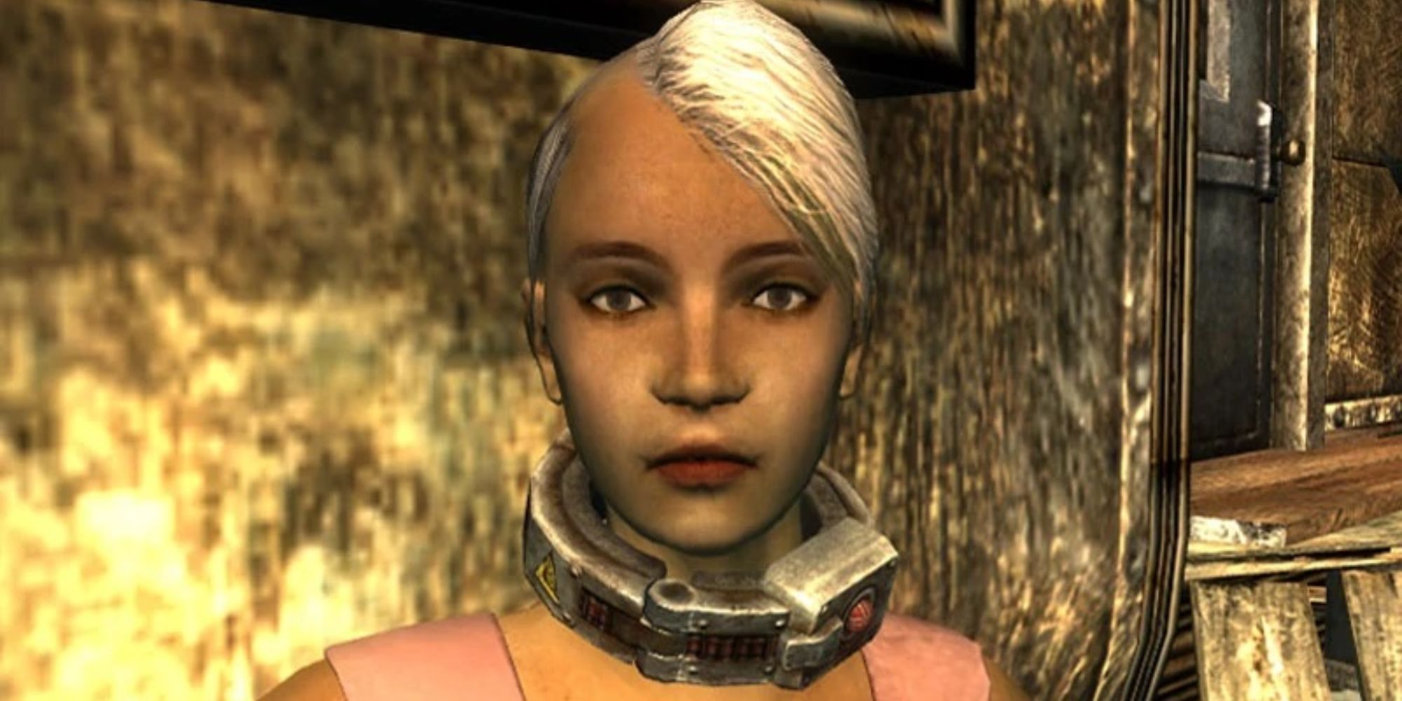 Fallout 3 Every Companion Ranked   Clover 