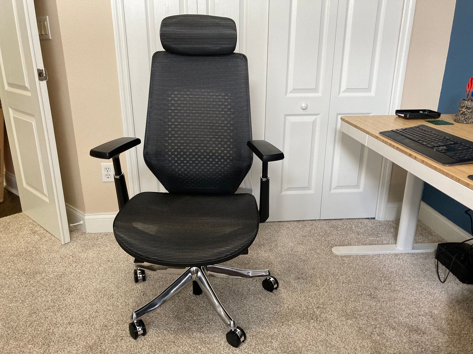 Ergonomic Chair Pro (OC14) Review Highly Customizable Comfort