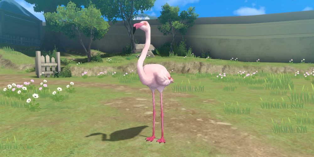 FE engaging flamingo