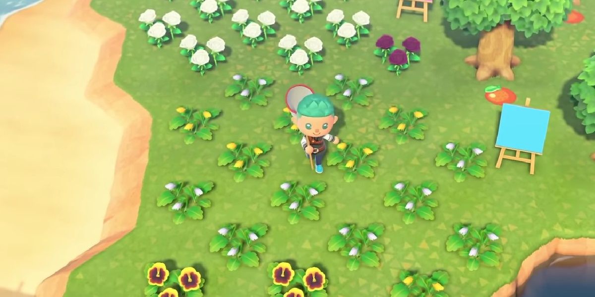 Animal Crossing New Horizons Hybrid Flowers Guide