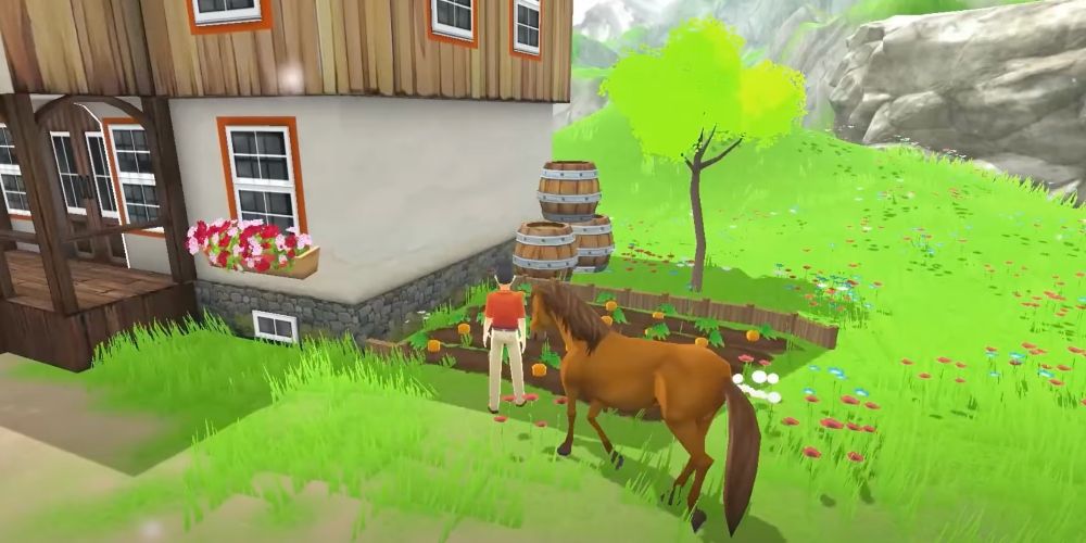 Image of a horse and player from the My Riding Stables game