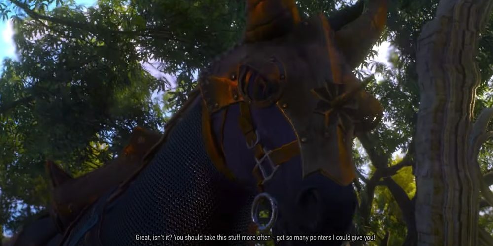 Close up of a cockroach from The Witcher 3