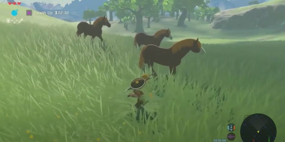 Link and horses from the breath of the wild