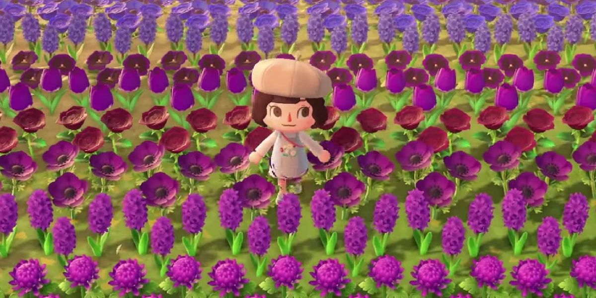 Animal Crossing: New Horizons – Hybrid Flowers Guide - SHSTRENDZ