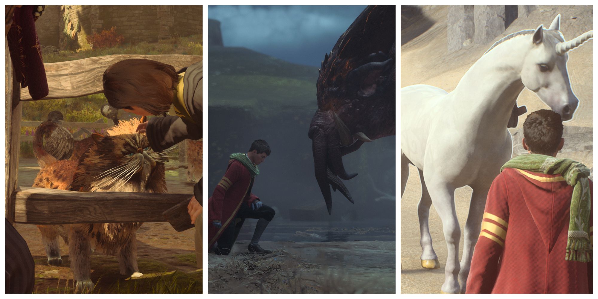 Hogwarts Legacy: Every Magical Beast To Tame, Ranked