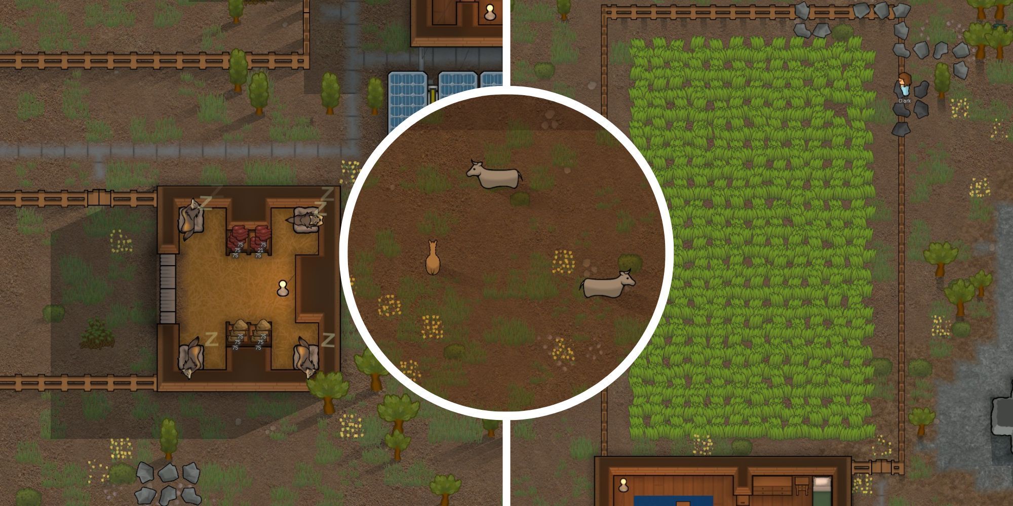 RimWorld Animal Feeding Guide