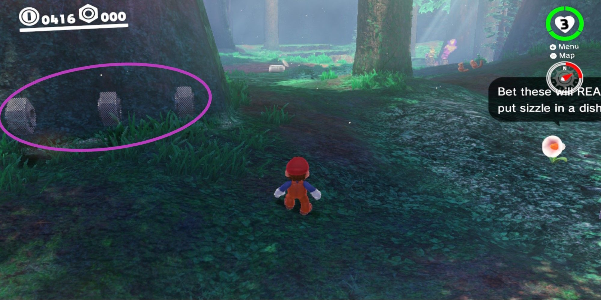 Super Mario Odyssey All Purple Coins In The Wooded Kingdom