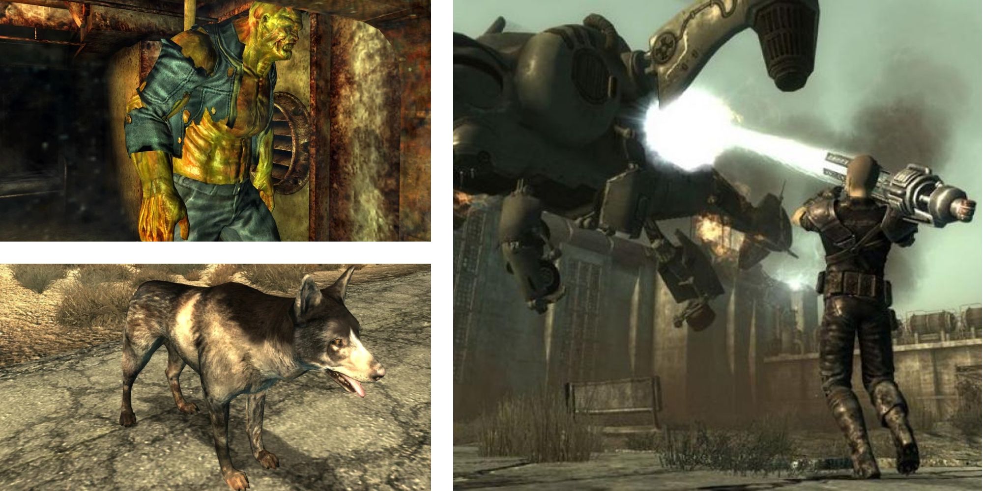 Fallout 3: The Best Followers In The Game, Ranked