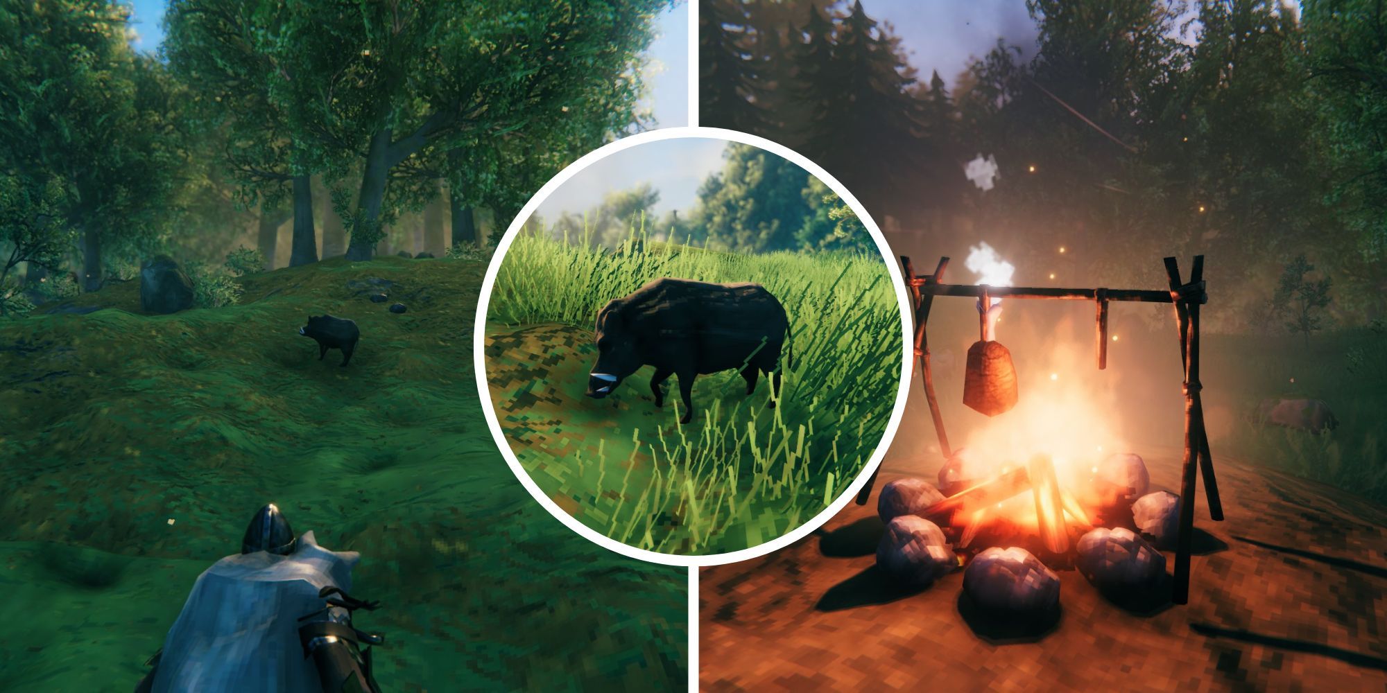 The player stars at a Boar, a Boar grazes on grass, and Boar Meat roasts on a fire in the Meadows.