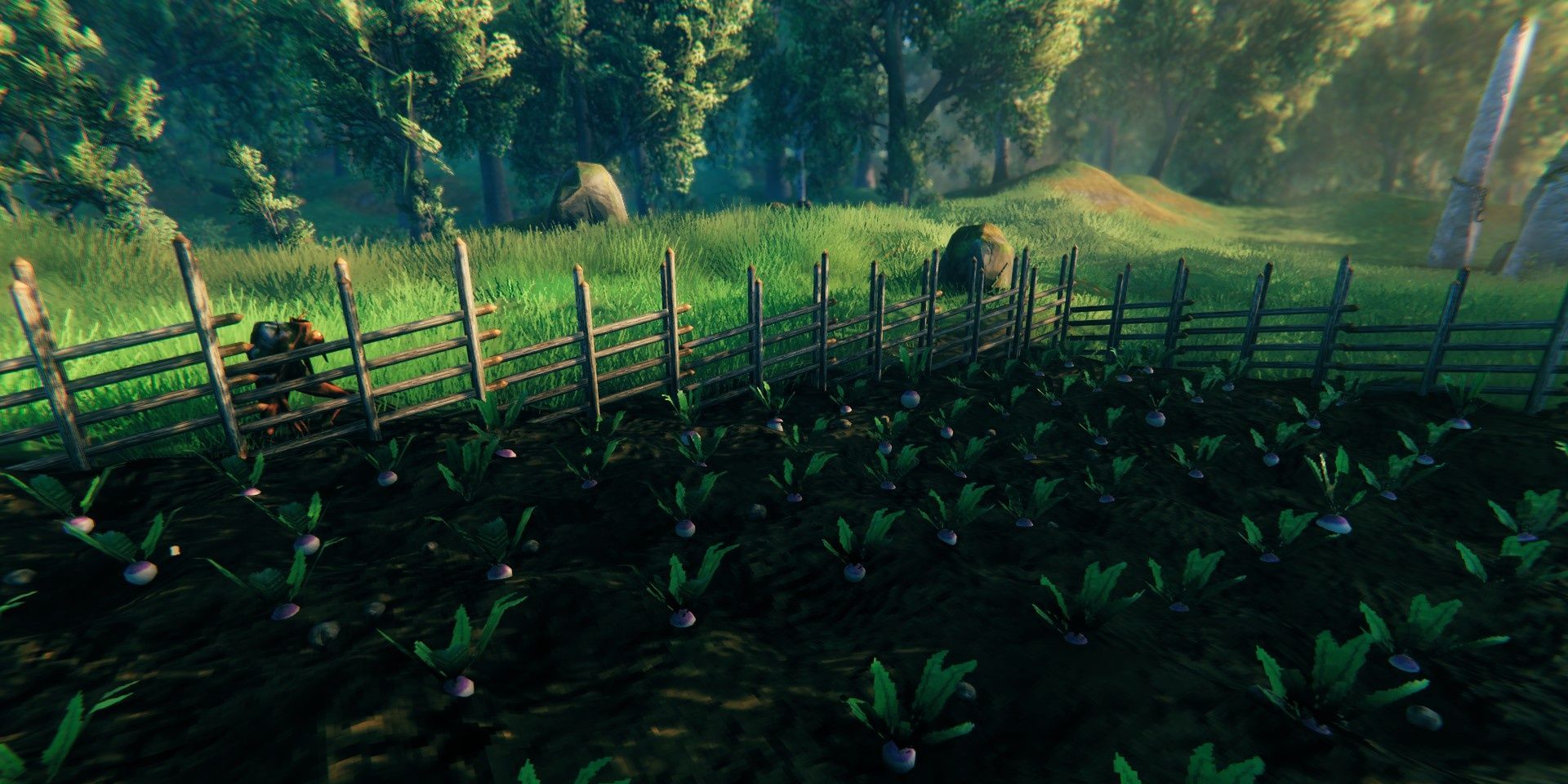 Valheim How To Find & Farm Turnips