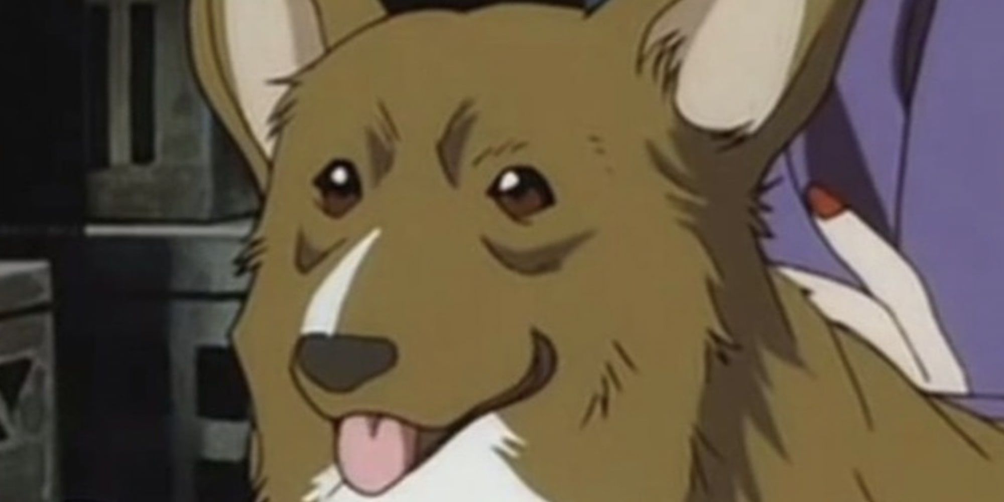 10 Best Animal Companions In Anime