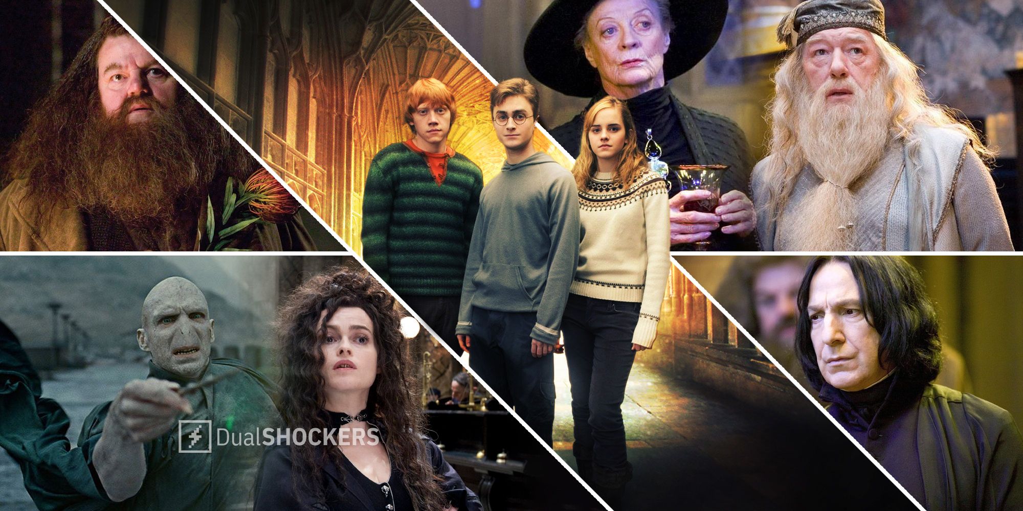 Harry Potter movies Hagrid, Voldemort, Bellatrix, McGonagall, Dumbledore, Snape, Harry, Ron, Hermione