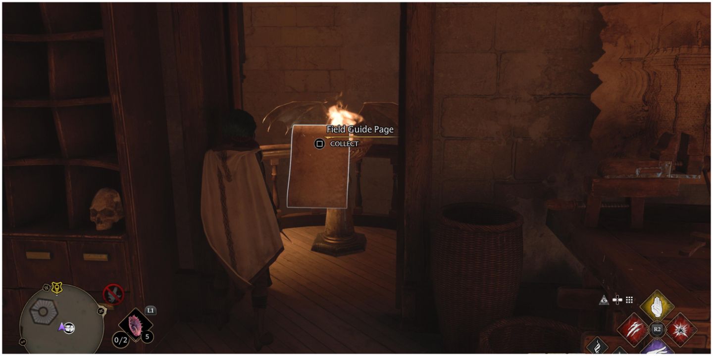 Hogwarts Legacy South Wing Field Guide Pages