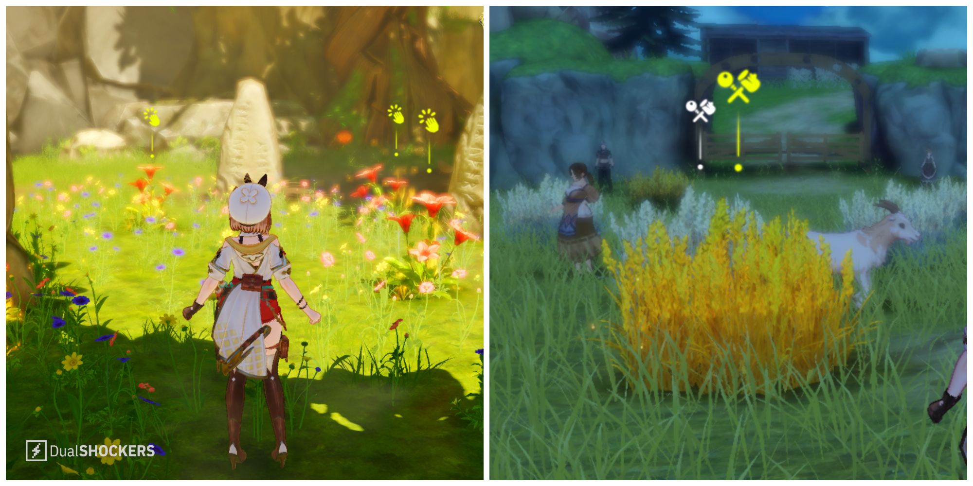 Split image of rare health flowers and rare wasser wheat in Atelier Ryza 3.