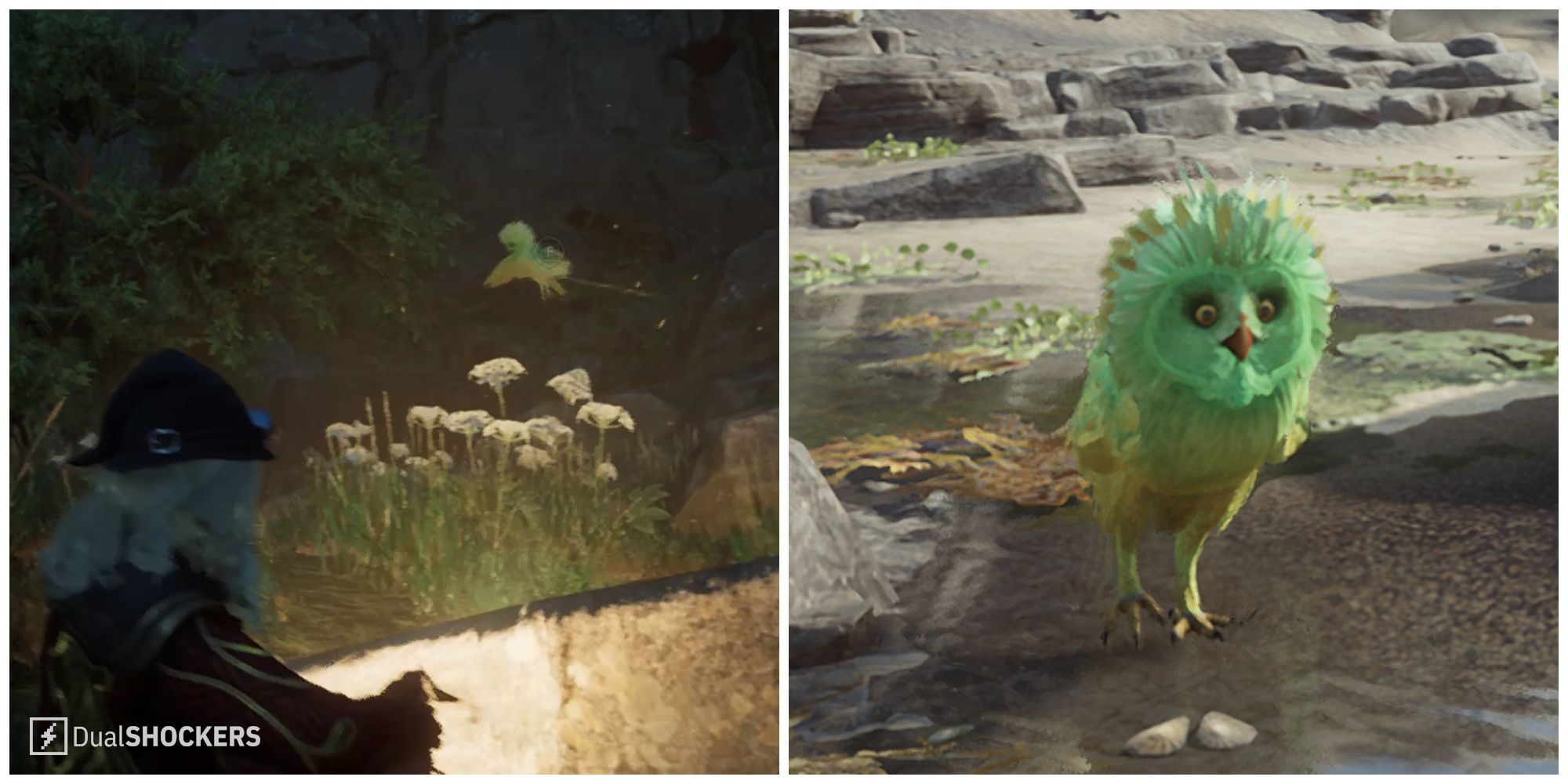 Split image of a Fwooper being caught and a Fwooper in the Vivarium in Hogwarts Legacy.