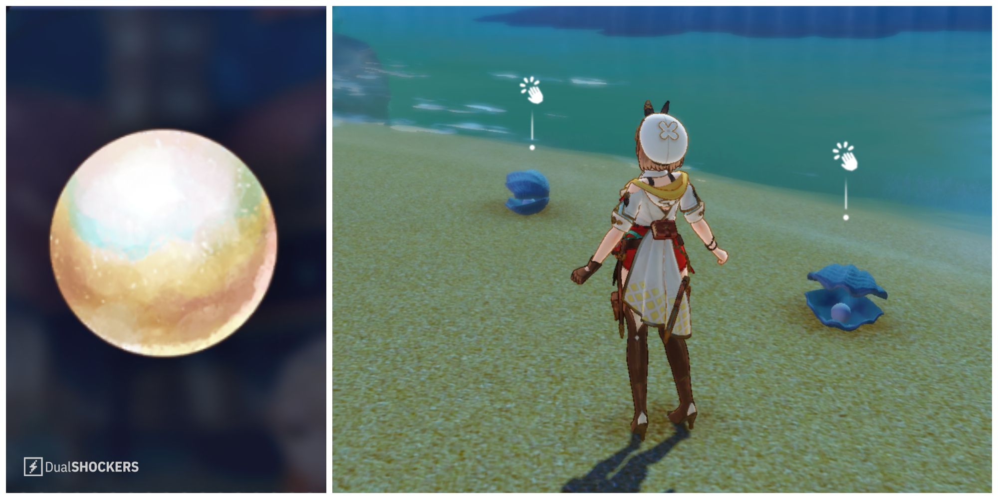 Split image of a white shell pearl in the basket and some white shell pearls in the wild in Atelier Ryza 3.