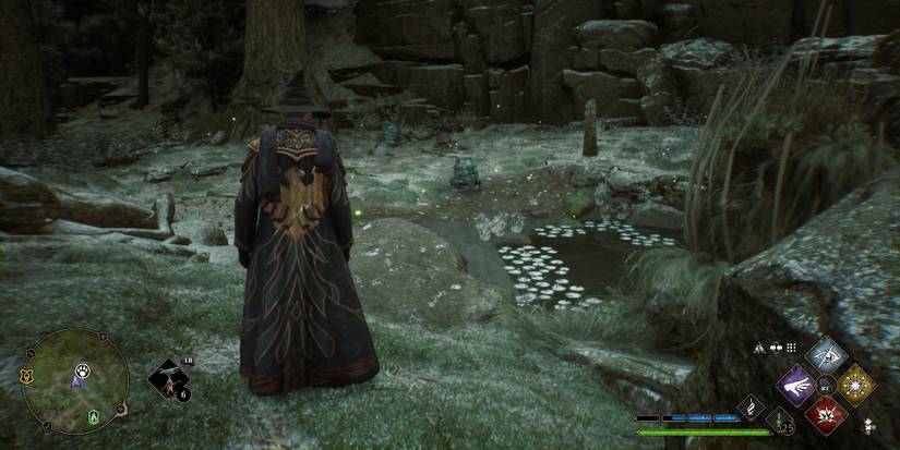 Toad Den Hogwarts Legacy: How To Catch A Giant Purple Toad