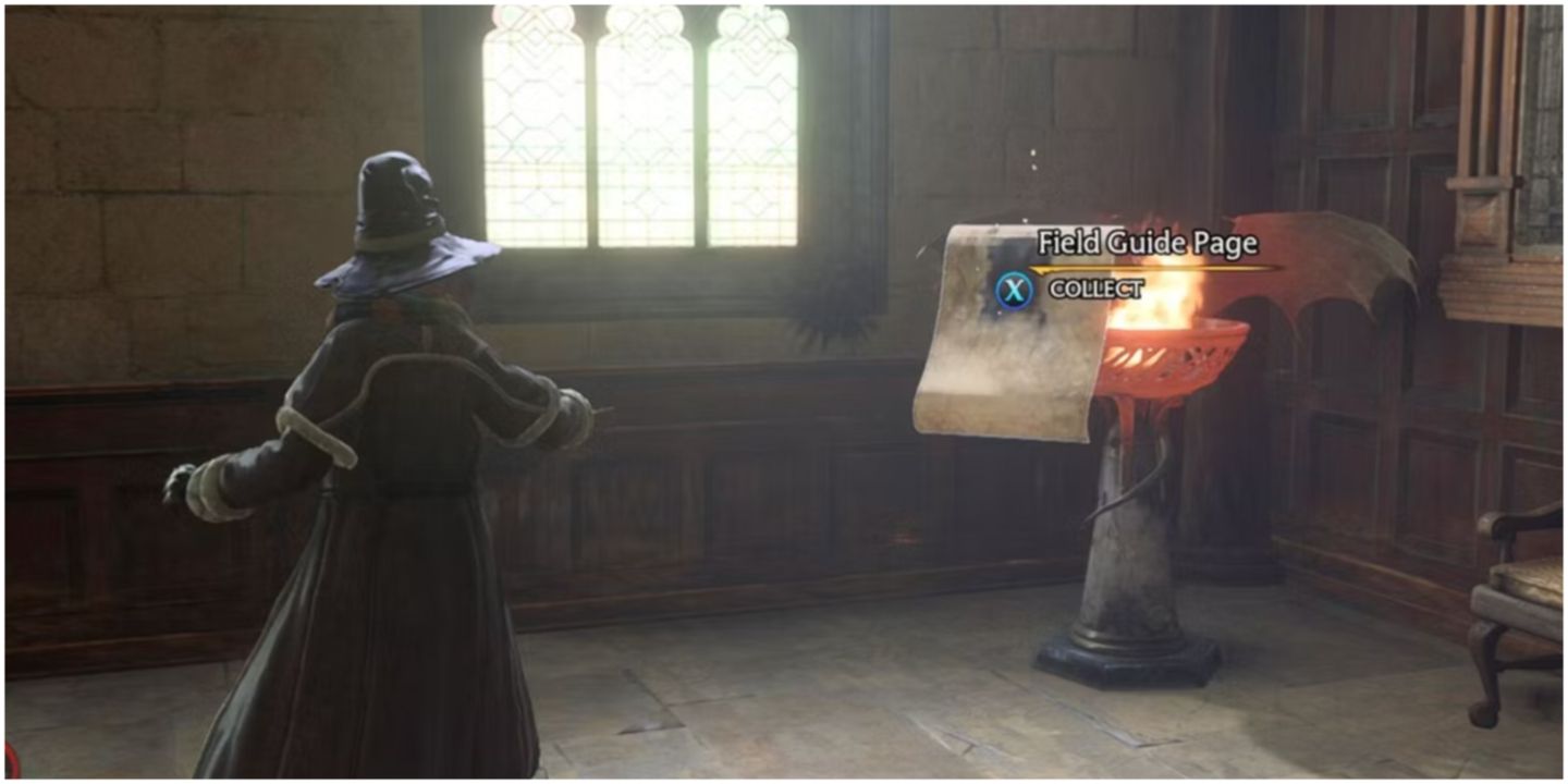 Hogwarts Legacy South Wing Field Guide Pages