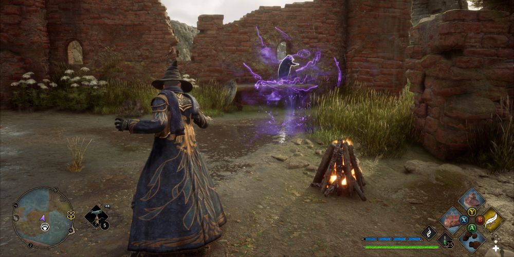 Hogwarts Legacy How To Catch A Niffler