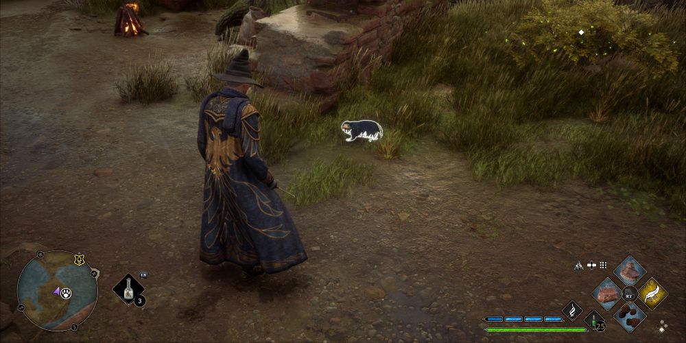 Hogwarts Legacy How To Catch A Niffler