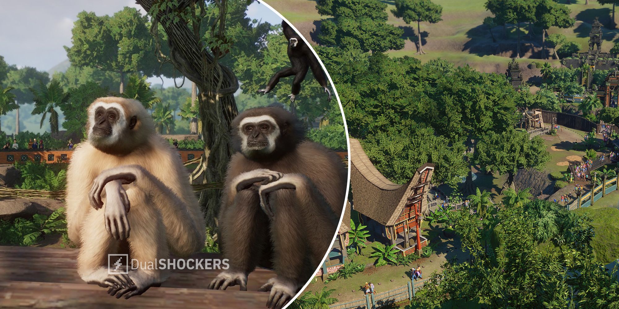 Planet Zoo Tropical DLC Pack animals and new buildings and terrain