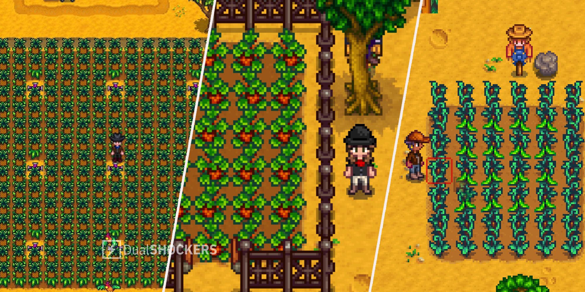 Stardew Valley Best Crops For Each Season