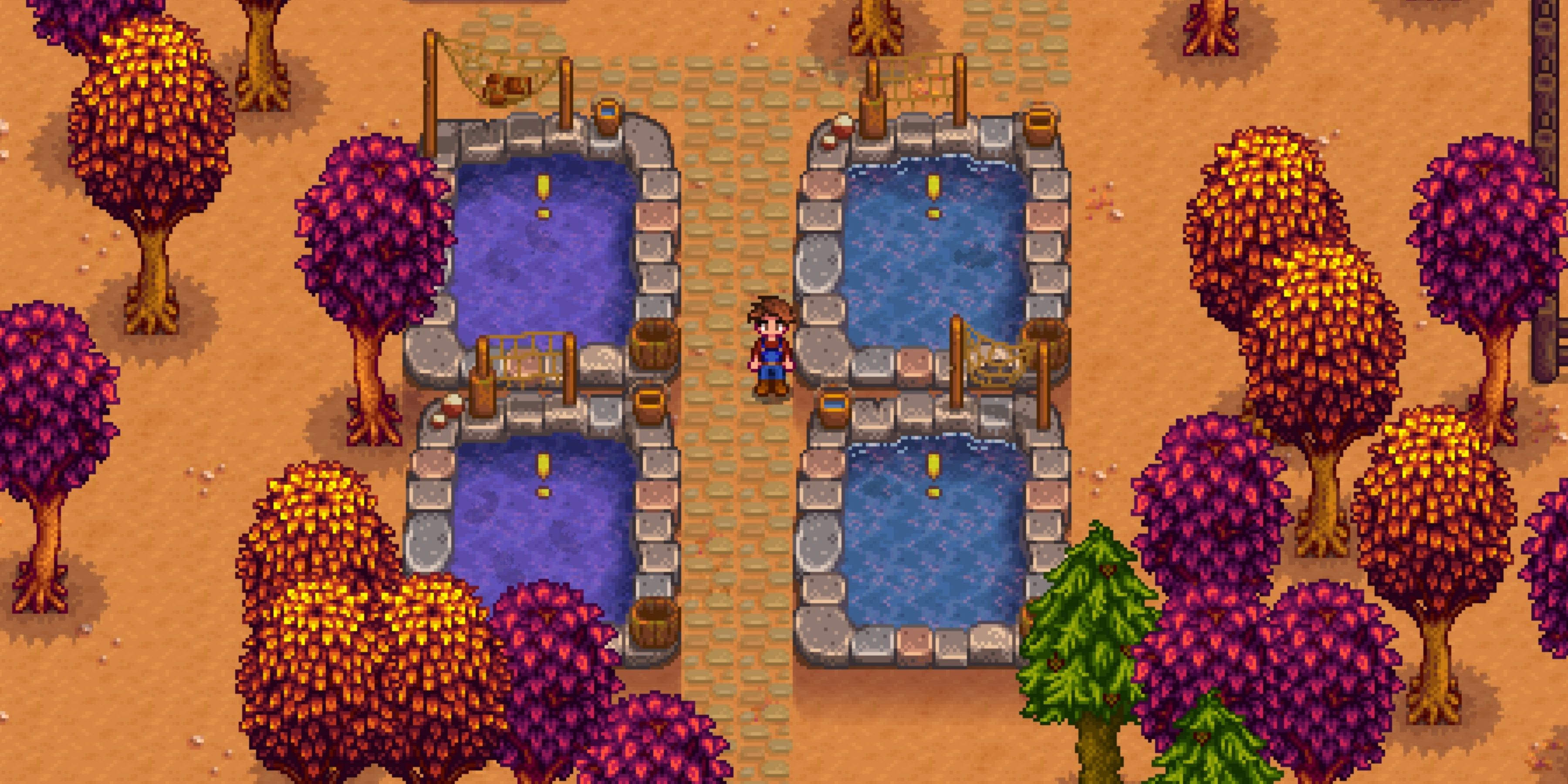 Stardew valley store pond