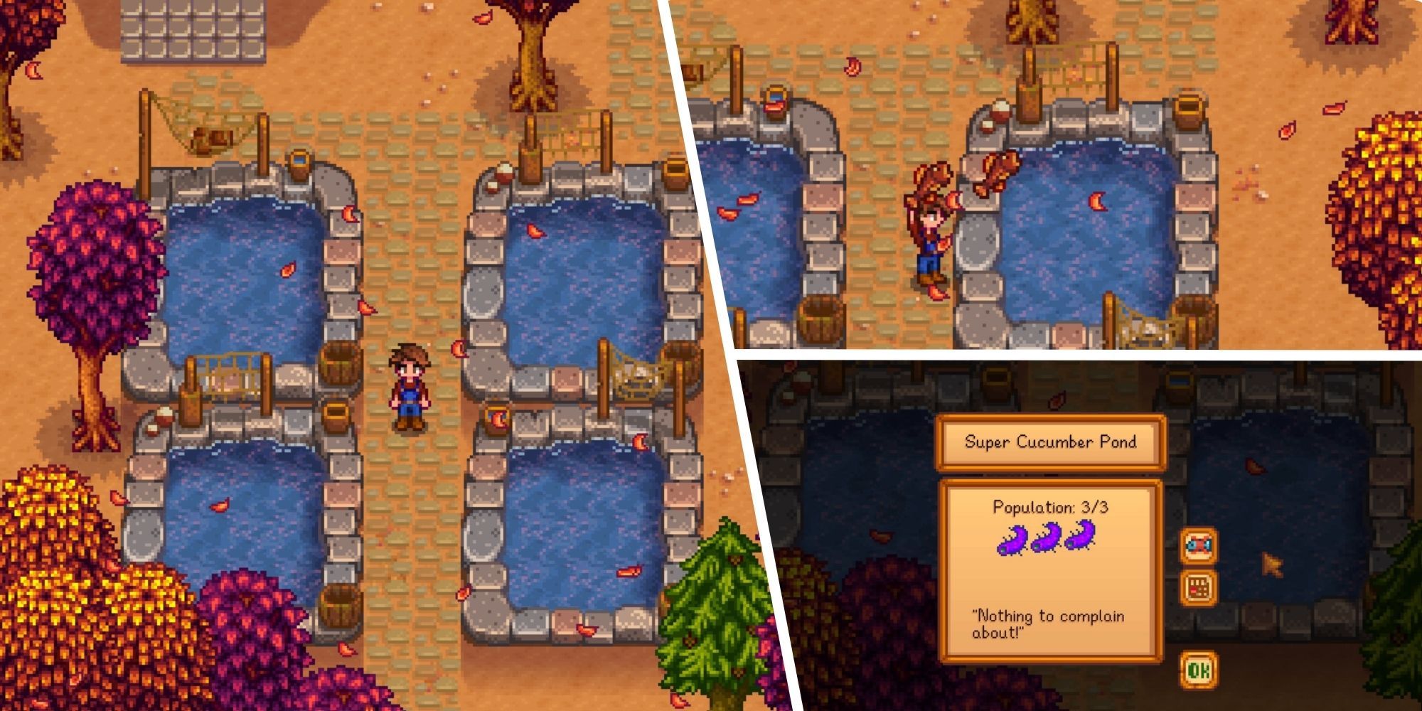 Stardew Valley: Complete Guide To Fish Ponds