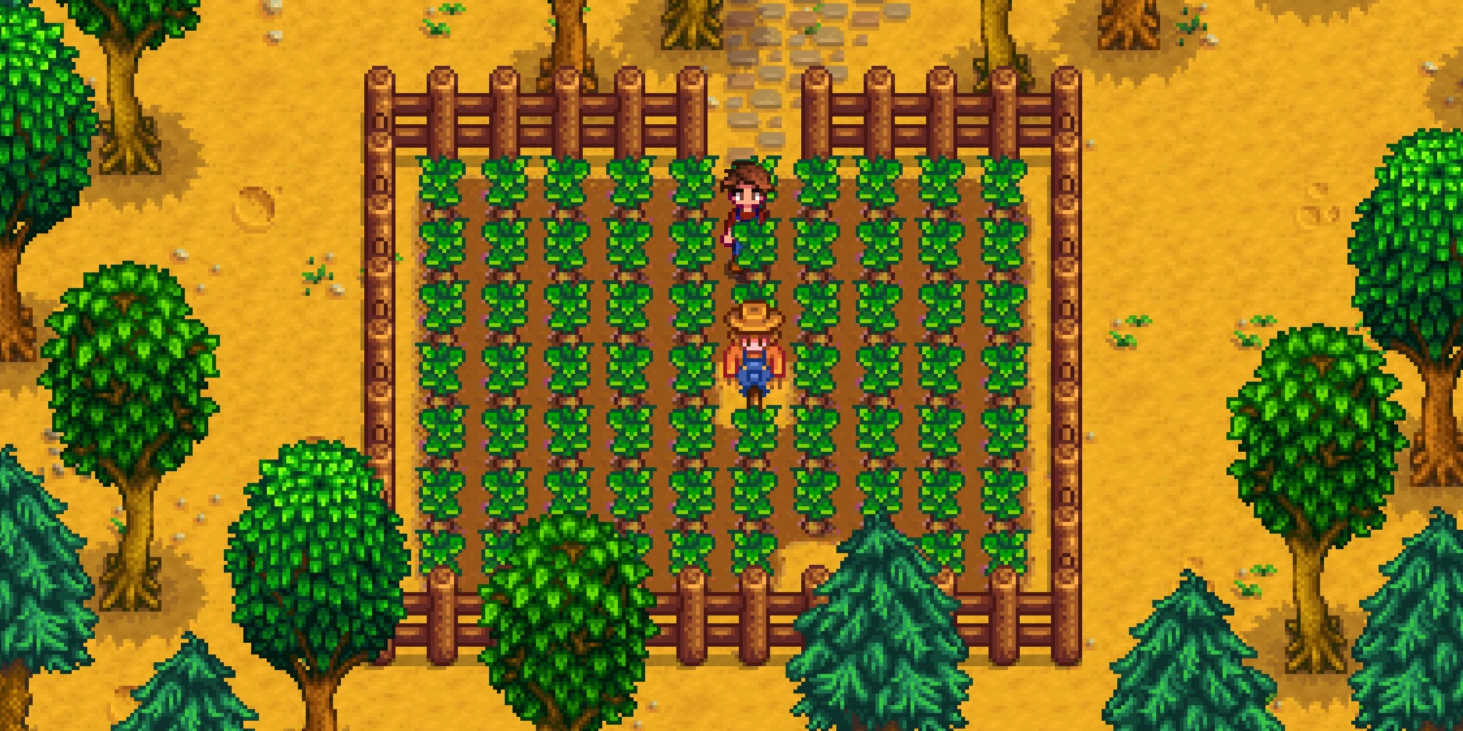Potatoes Stardew Valley at Orville Irvin blog