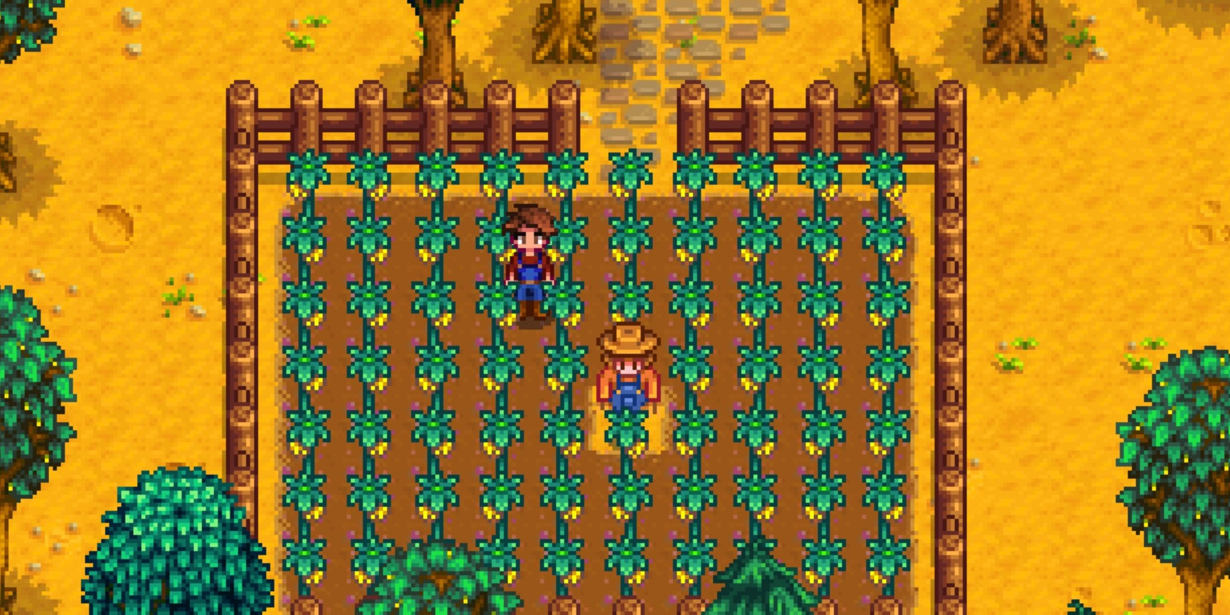 Stardew Valley Best Crops For Each Season
