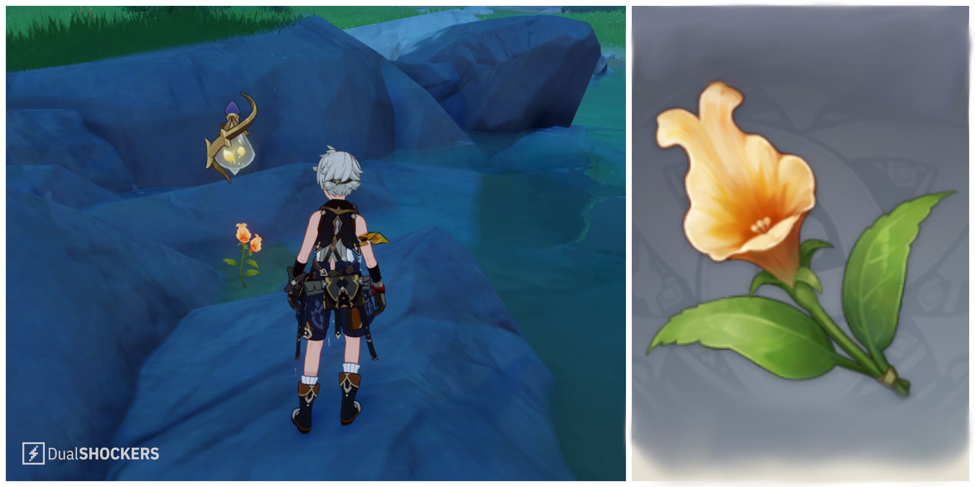 Genshin Impact Snapdragon Location Guide