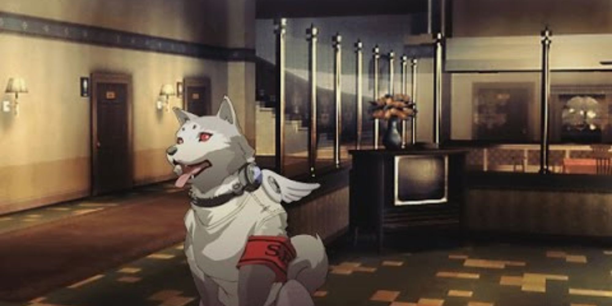 Koromaru sitting in a room with a TV, Vase of flowers and doors. Might be a hotel